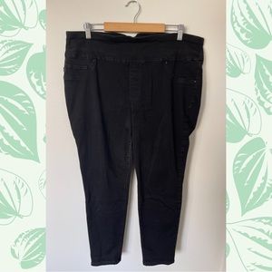 Women’s Plus Size Lee Skinny Jeans